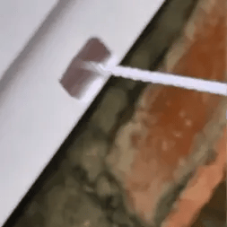 Encabezado