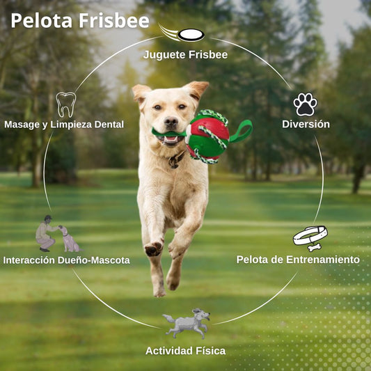Pelota Frisbee para Mascotas