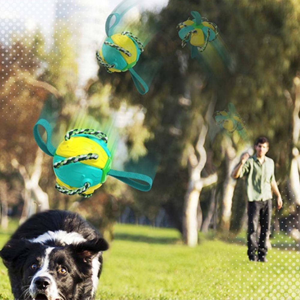Pelota Frisbee para Mascotas