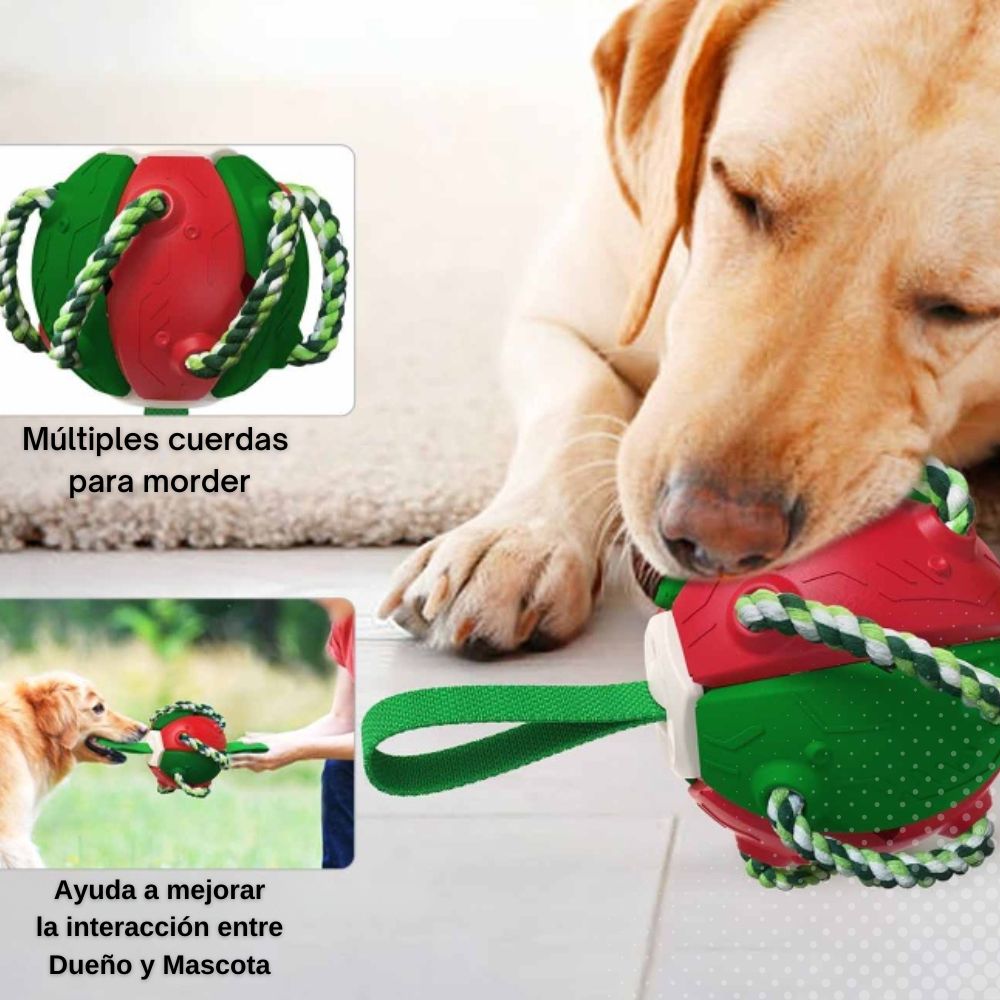 Pelota Frisbee para Mascotas