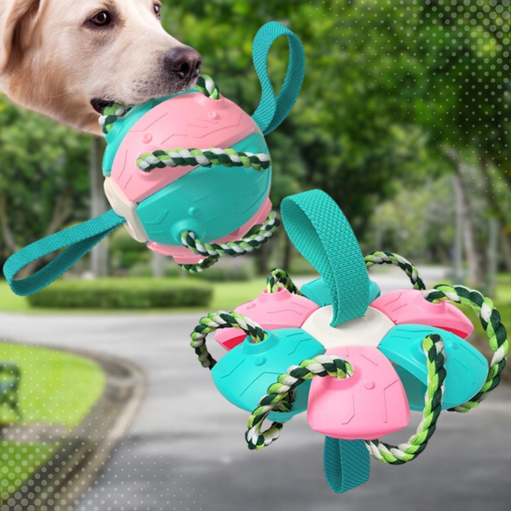 Pelota Frisbee para Mascotas