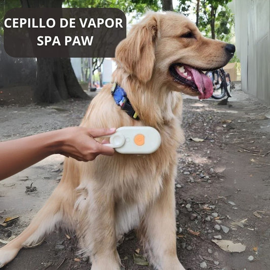 Cepillo de Vapor Spa Paw