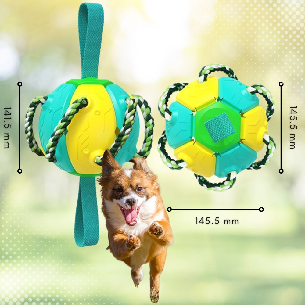 Pelota Frisbee para Mascotas